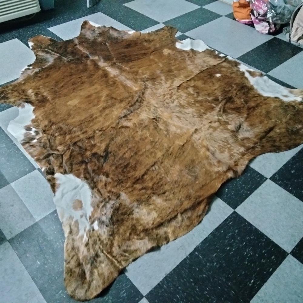 Living Room Rug